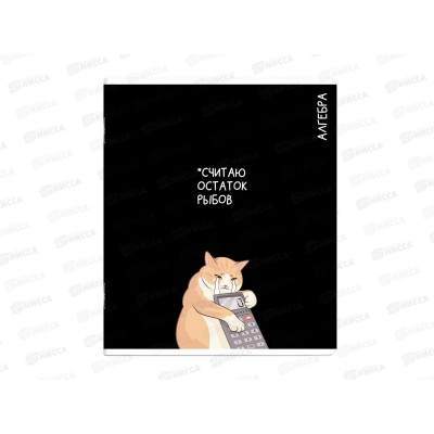 Тетрадь 48л кл. ФЕН Коты мемы. Алгебра, 69820 *16/48 Тетрадь 48л кл. ФЕН Коты мемы. Алгебра, 69820 *16/48