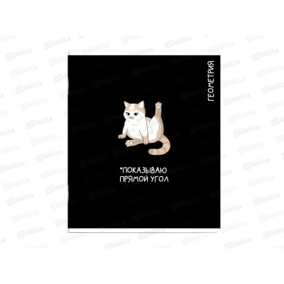 Тетрадь 48л кл. ФЕН Коты мемы. Геометрия, 69821  *16/48