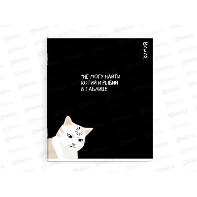 Тетрадь 48л кл. ФЕН Коты мемы. Химия, 69826  *16/48