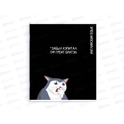 Тетрадь 48л кл. ФЕН Коты мемы. Английский язык, 69828 *16/48 Тетрадь 48л кл. ФЕН Коты мемы. Английский язык, 69828 *16/48