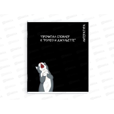 Тетрадь 48л лин. ФЕН Коты мемы. Литература, 69832  *16/48