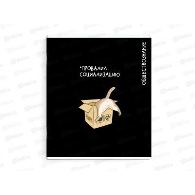 Тетрадь 48л кл. ФЕН Коты мемы. Обществознание, 69833  *16/48