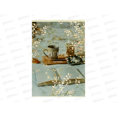 Тетрадь 48л кл. ПЛН Хюгге 25031*40