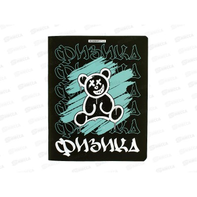 Тетрадь 48л кл. АКАД Мишки. Физика,  EAC-15585 *20/60