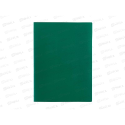 Папка с мульт.  30стр Lite А4 зеленая, NP0151-30BG *10/130