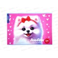 Альбом для рисования 24л Funguru, 4 вида микс, D-608B-824  *10/240