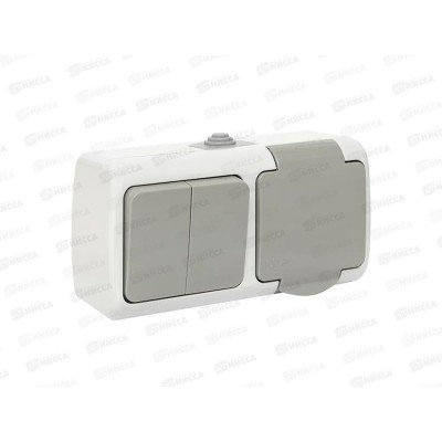 Блок EKF Мурманск розетка+ 2кл.выкл. 16А с заземлением с крышкой, IP54 серый