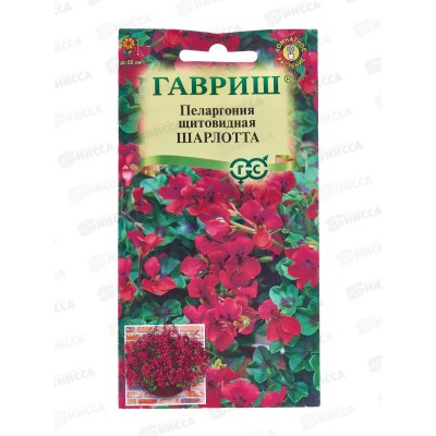 Пеларгония Шарлотта ампельная 3шт Н22  *10 ГШ +