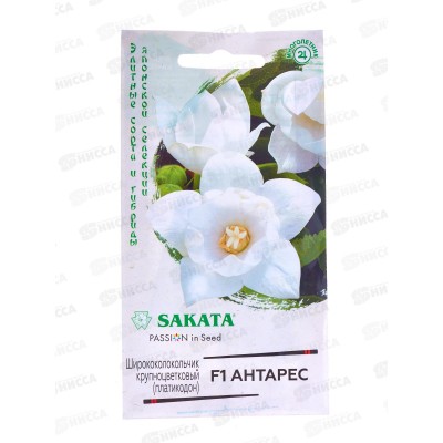 Ширококолокольчик Антарес крупн F1 4шт Н21 *10 ГШ Ширококолокольчик Антарес крупн F1 4шт Н21 *10 ГШ