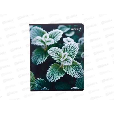 Тетрадь 48л клетка SVETOCH Морозная свежесть, 01503  *10/60 Тетрадь 48л клетка SVETOCH Морозная свежесть, 01503  *10/60