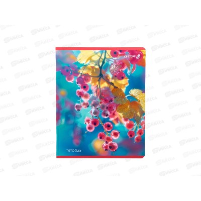 Тетрадь 48л клетка SVETOCH На рассвете, 01504  *10/60 Тетрадь 48л клетка SVETOCH На рассвете, 01504  *10/60