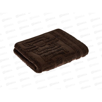 Полотенце махровое 30*70 ПЛ-2701-06355 с-1 Rhoder 19-1420 коричневый
