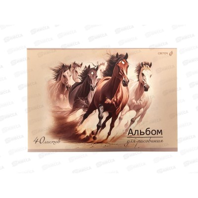 Альбом для рисования 40л SVETOCH Грация и сила, 5в, 01715 *5/30 Альбом для рисования 40л SVETOCH Грация и сила, 5в, 01715 *5/30