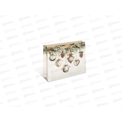 Пакет бум. подарочный стандарт плюс НГ 50*40*15 1326.928