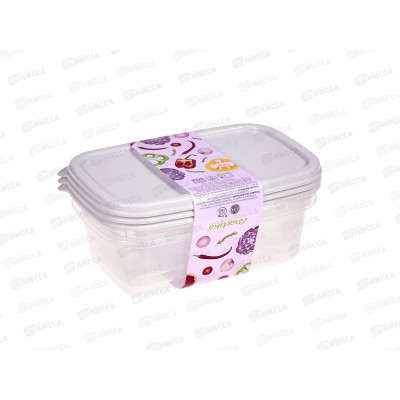 Контейнер Романо прямоугольн набор 0,45л 3шт С854 светло-серый Контейнер Романо прямоугольн набор 0,45л 3шт С854 светло-серый