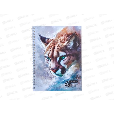 Тетрадь 40л лин. Апплика Дикая кошка, греб С0155-11 *80 Тетрадь 40л лин. Апплика Дикая кошка, греб С0155-11 *80