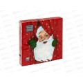 Салфетки 3сл 20л 33*33 Bouquet Home Новогоднее представление 25200 *12