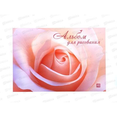 Альбом д/рис.40л Lamark Персиковая нежность офсет, склейка 90463 *25