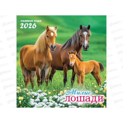 Календарь перекидной 2026 ЛиС Символ года. (фото) Милые лошади, ПК-26-005