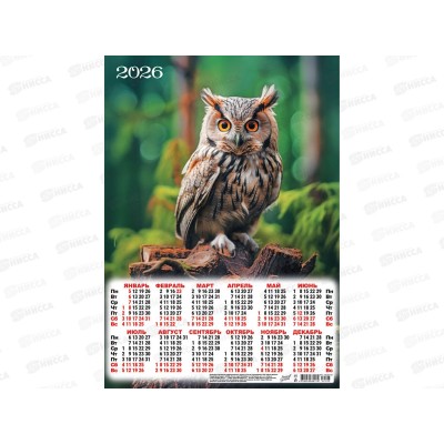Календарь листовой 2026 А3 ЛиС Таинственный лес. Совушка, ПМ-26-105 *100 Календарь листовой 2026 А3 ЛиС Таинственный лес. Совушка, ПМ-26-105 *100