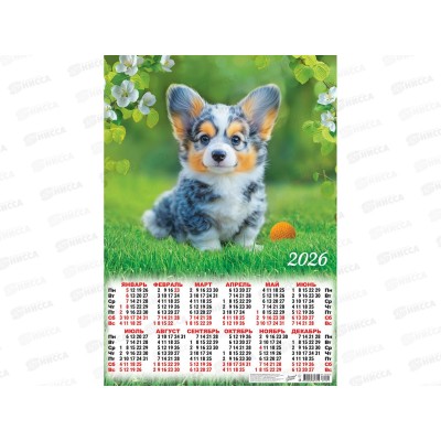 Календарь листовой 2026 А2 ЛиС Собаки. Милый ушастик, ПО-26-105 *100 Календарь листовой 2026 А2 ЛиС Собаки. Милый ушастик, ПО-26-105 *100