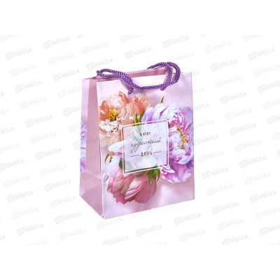 Пакет подарочный АД 11,5*14,5 0191.360 набор 6шт