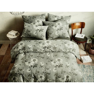 Комплект постельного белья 2,0сп с евро прост. Поплин 120гр НН Джерри 20602-1+20312-17 70*70(2)