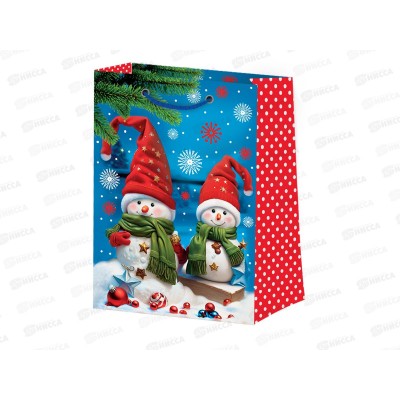 Пакет бум. лам. SM 14*7*20 НГ Микс №2 (4диз) *12