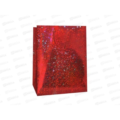 Пакет бум. лам. M 18*10*22,7 Голография Микс (3цв) *12