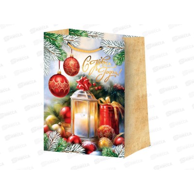 Пакет бум. лам. M 18*10*22,7 Микс "Новый Год №4" (4диз) *12