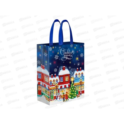 Сумка 2,5кг ЗИМНЯЯ 30*40+10см *20