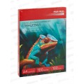 Пленка для ламинирования ПП А4 100мкр, 216*303мм, 100шт, глянцевая, ПЛЛ-2649 *10