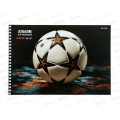 Альбом для рисования 40л ПП Футбольный мяч - 13, 2диз., гребень, 40-2321  *100 Альбом для рисования 40л ПП Футбольный мяч - 13, 2диз., гребень, 40-2321  *100