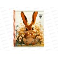 Тетрадь 48л клетка Collezione Милые животные и цветы, 48-6535 *5/80