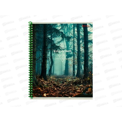Тетрадь 48л клетка ПП Мистическая природа, гребень, 48-6497 *10/80
