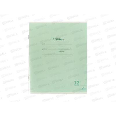 Тетрадь 12л косая линия ПП Классика NEW Зеленая, 12-1422 *10/240