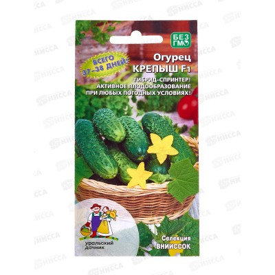 Огурец Крепыш F1 Евро *10 УрД + Огурец Крепыш F1 Евро *10 УрД +