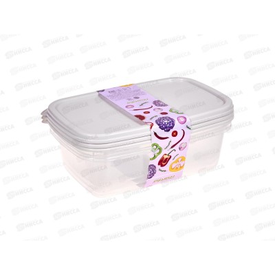 Контейнер Романо прямоугольн набор 0,9л 3шт С857СЕР светло-серый Контейнер Романо прямоугольн набор 0,9л 3шт С857СЕР светло-серый