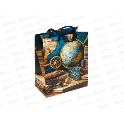 Пакет подарочный АД 18*22,3 0192.706