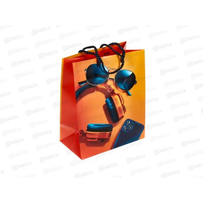 Пакет подарочный АД 18*22,3 0192.717