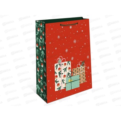 Пакет бум. подарочный НГ 18*22,3*10 0192.564