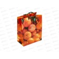 Пакет бум. подарочный НГ 18*22,3*10 0192.588