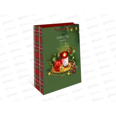 Пакет бум. подарочный НГ 18*22,3*10 0192.605