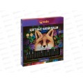 Карандаши 72цв QREDO &quotFOX" пластик, трехгранные, 15-6599  *2