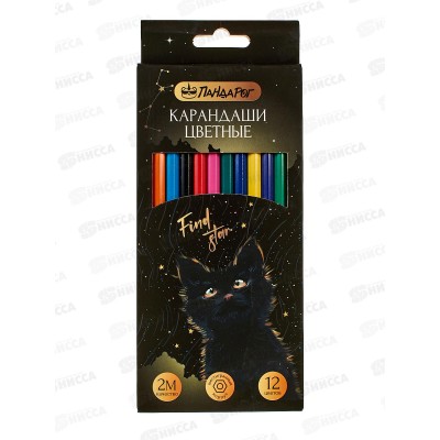 Карандаши 12цв ПандаРог &quotMystery cat&quot пластик, 15-7502 *12/240