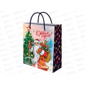 Пакет подарочный MI 18х23х8см (M) Дед Мороз ППК-2314 *12
