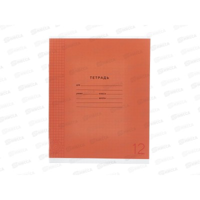 Тетрадь 12л кл. ПандаРог, плас. прозр. обложка, оранж., 15-7874  *120