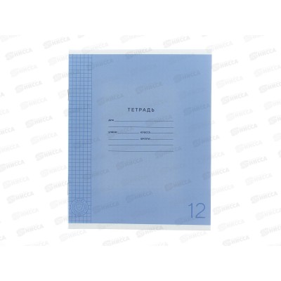 Тетрадь 12л кл. ПандаРог, плас. прозр. обложка, фиолет., 15-7876  *120