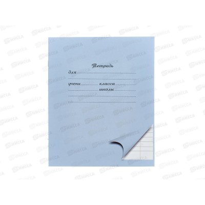 Тетрадь 12л линия ПандаРог, голубая, 15-3704  *300
