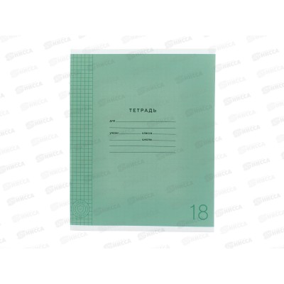 Тетрадь 18л кл. ПандаРог, плас. прозр. обложка, зеленая, 15-7877  *120